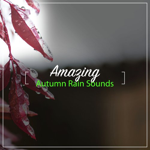 #18 Amazing Autumn Rain Sounds_poster_image