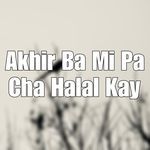 Akhir Ba Mi Pa Cha Halal Kay