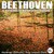 Twelve Variations on A Theme by G.F Handel: Variation 12