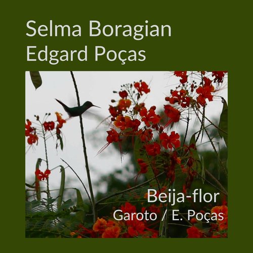 Beija-Flor_poster_image