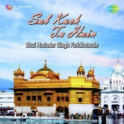 Anand Peya Meri Maye by Bhai Harjinder Singh Ji