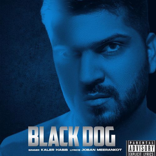 Blackdog