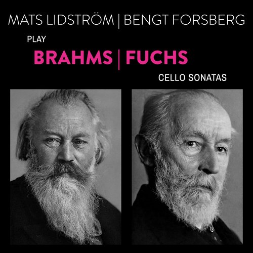 Brahms: Sonata for Cello and Piano No. 2 in F Major, Op. 99 - I. Allegro vivace