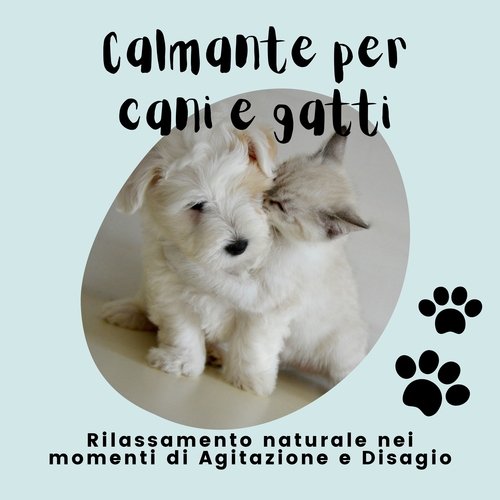 Rilassamento senza fine cover art