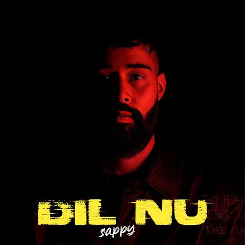 Dil Nu (Lofi)_poster_image