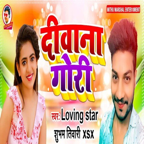 Diwana Gori cover art