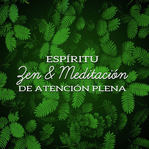 Relajación y Serenidad cover art