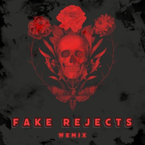 Fake rejects_poster_image