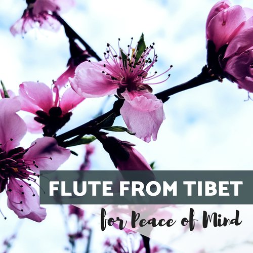 Flute from Tibet for Peace of Mind_poster_image