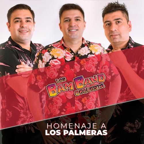Homenaje a los Palmeras cover art