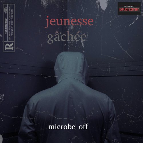 Jeunesse gâchée cover art