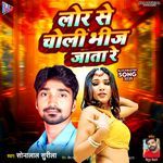 Lor Se Choli Bheej Jata Re