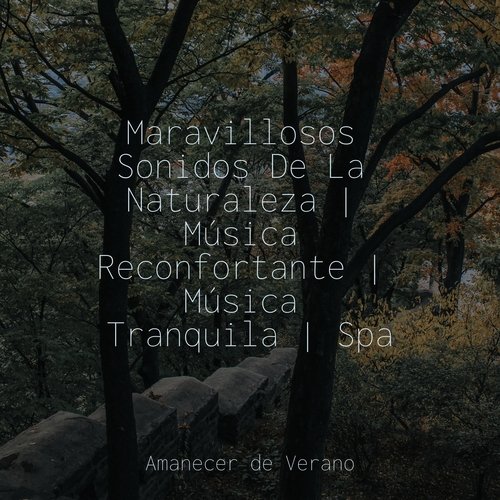 Maravillosos Sonidos De La Naturaleza | Música Reconfortante | Música Tranquila | Spa