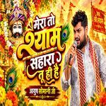 Mera To Shyam Sahara Tu Hi Hai artwork