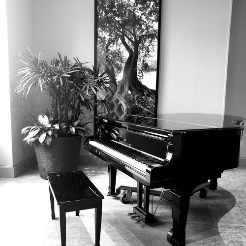 Beethoven Moonlight Sonata Mvt.1