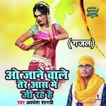 O Jane Wale Teri Aas Me Ji Rahe Hain Gazal (Gajal Song)