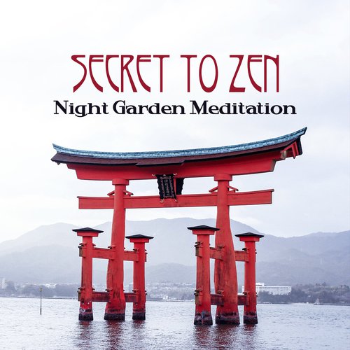 Reiki Healing Unit cover art