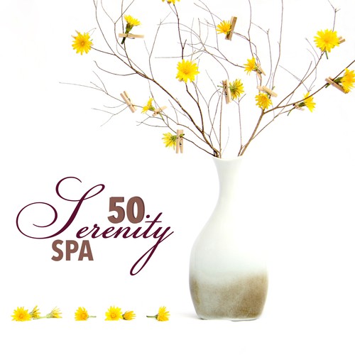 Spa Music 2016 cover art