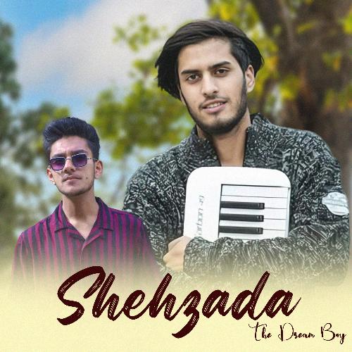 Shehzada The Dream Boy