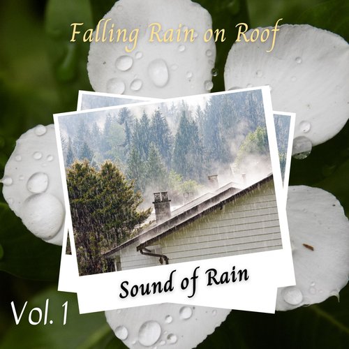 Sound of Rain: Falling Rain on Roof Vol. 1_poster_image