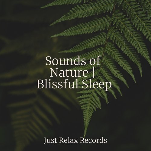 Sounds of Nature | Blissful Sleep