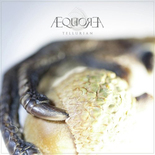 Forage cover art
