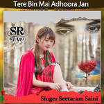 Tere Bin Mai Adhoora Jan