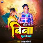 Tora bina kaise jibo