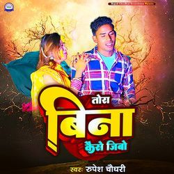 Tora bina kaise jibo