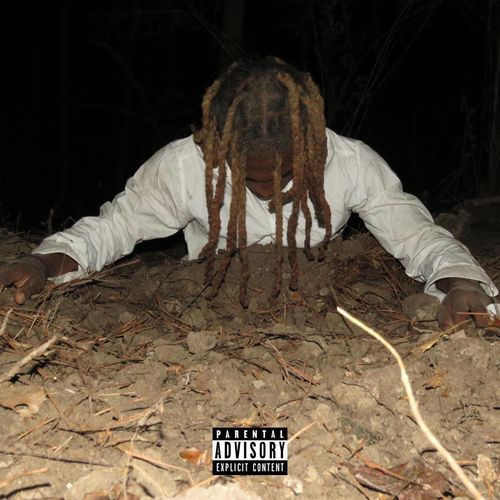 Bonafide cover art