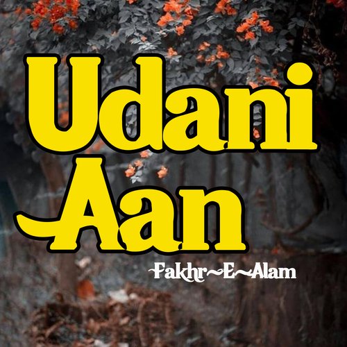 Udani Aan