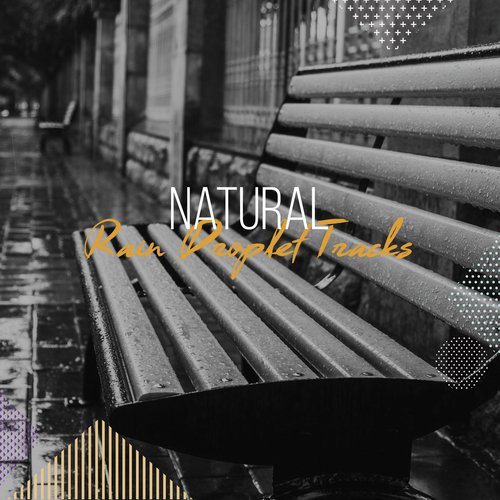 #21 Natural Rain Droplet Tracks_poster_image