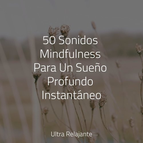 50 Clásicos Reconfortantes Para Dormir