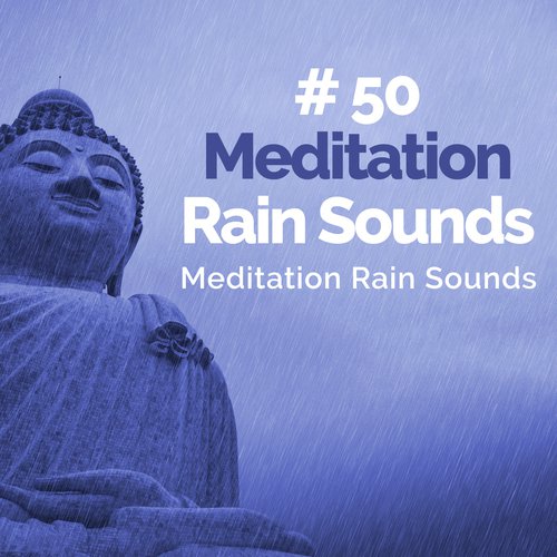 Meditation Rain Sounds cover art