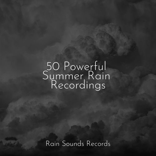 50 Powerful Summer Rain Recordings