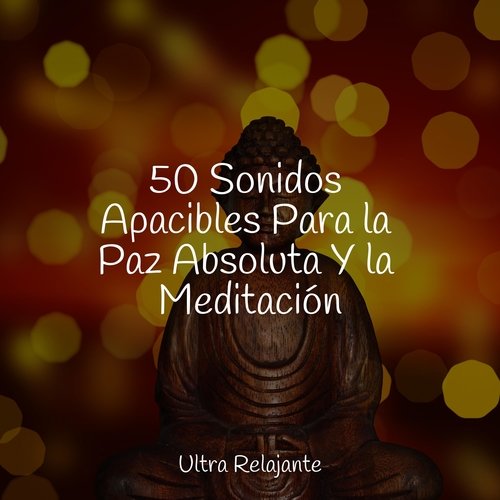 50 Sonidos Apacibles Para la Paz Absoluta Y la Meditación