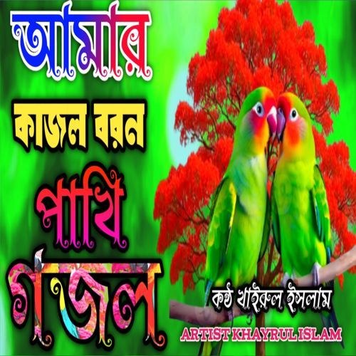 Amar Kajol Boron Pakhi