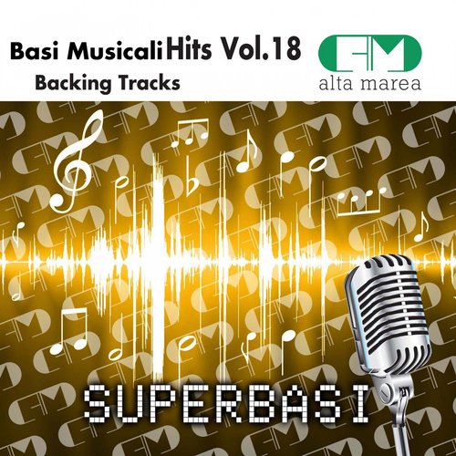 Basi Musicali Hits, Vol. 17 (Backing Tracks)_poster_image