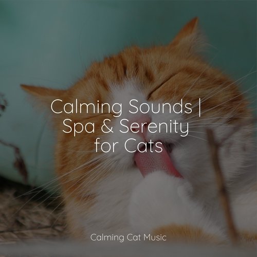 Lazy Morning cover art