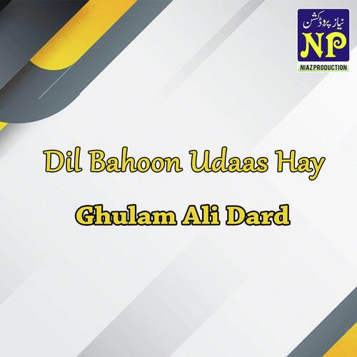 Dil Bahoon Udaas Hay