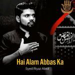 Hai Alam Abbas Ka