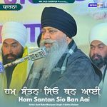 Ham Santan Sio Ban Aai artwork