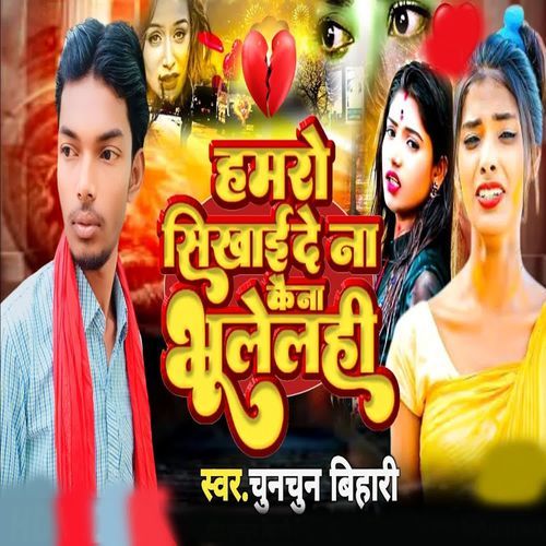 Hamro Sikhai De Na Kena Bhulelhi