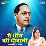 Main Bhim ki Deewani (Hindi)