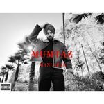 Mumtaz artwork