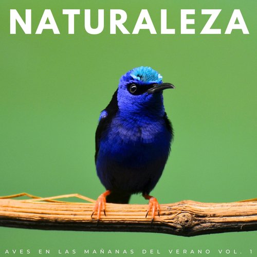 Naturaleza De Cerca cover art