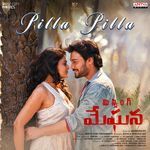 Pilla Pilla (From "Missing Meghana") artwork