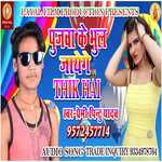 Poojawa Ke Bhool Jayenge Thik Hai (Bhojpuri Song)