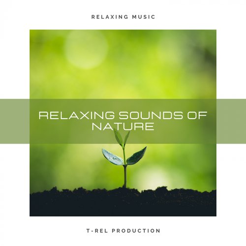 Relaxing Sounds of Nature