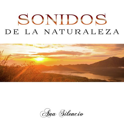Musica ambiental cover art